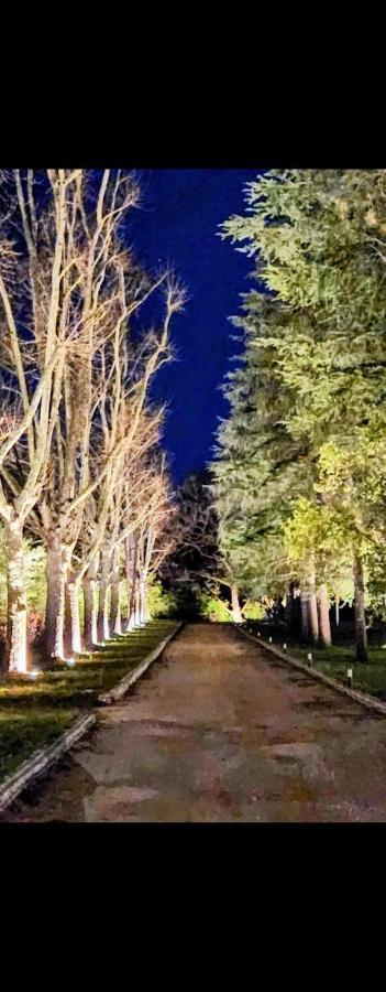 La Casa Nel Parco Luxury B&B San Lazzaro di Savena Eksteriør billede